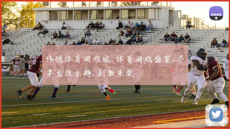 伟德体育游戏城,体育游戏盛宴,尽享竞技乐趣,刺激来袭