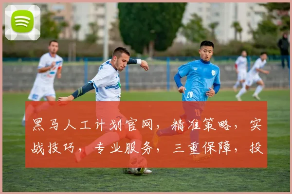 黑马人工计划官网，精准策略，实战技巧，专业服务，三重保障，投资必备