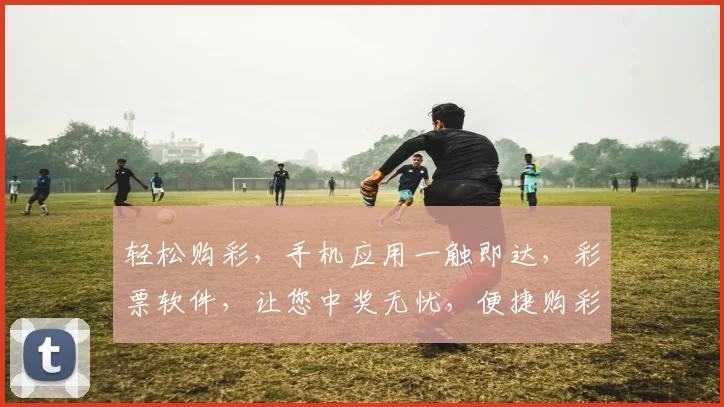 轻松购彩，手机应用一触即达，彩票软件，让您中奖无忧，便捷购彩三步走，快来体验